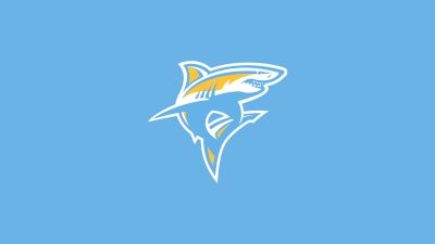 Long Island University Men's Hockey