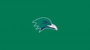 Endicott College Men's Hockey
