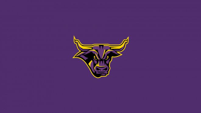 Minnesota State Women's Hockey