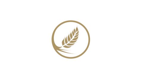 West Coast Baptist Women Volleyball