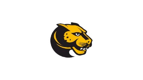 Wentworth Institute Men's Lacrosse