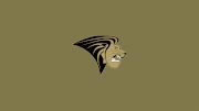 Lindenwood Women's Volleyball