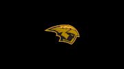 UW-Oshkosh Women's Volleyball