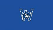 Westfield State Women's Volleyball