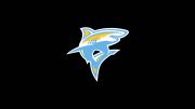 Long Island University Men's Basketball
