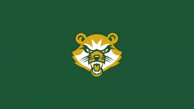 D3 Saint Vincent College Men's Club Hockey