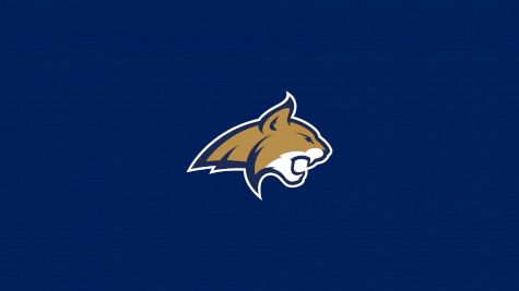 D2 Montana State Men's Club Hockey