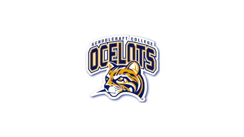 D2 Schoolcraft College Men's Hockey