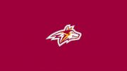 Alvernia University Men's Hockey