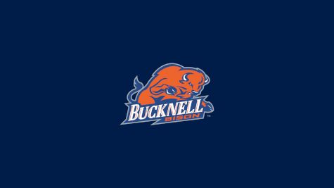 Bucknell Swimming & Diving