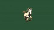 Cal Poly Swimming & Diving