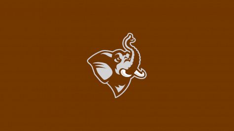 Tufts University Swimming