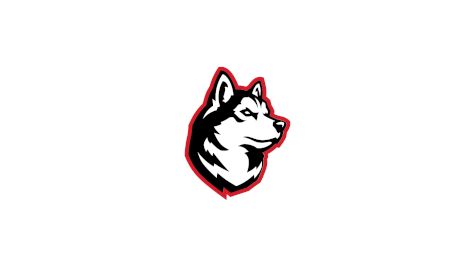 Northeastern Swimming