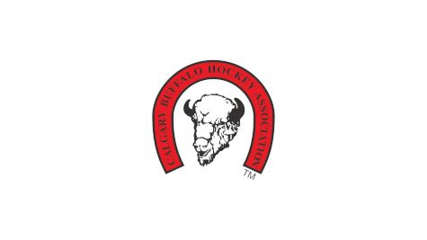 Calgary Buffalo Rangers U15 AA