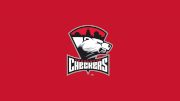 Charlotte Checkers