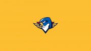 Springfield Thunderbirds