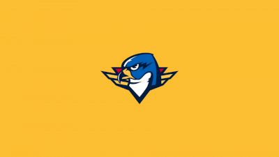 Springfield Thunderbirds