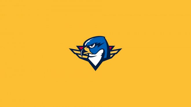 Springfield Thunderbirds