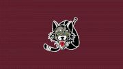 Chicago Wolves