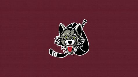 Chicago Wolves