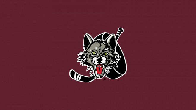 Chicago Wolves