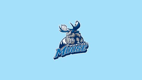 Manitoba Moose