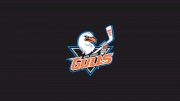 San Diego Gulls