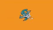 San Jose Barracuda