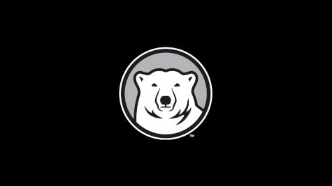 Bowdoin Swimming & Diving