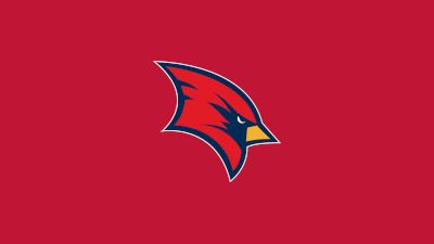 D1 Saginaw Valley Men's Hockey