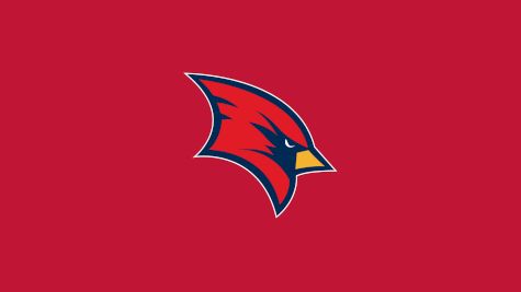 D1 Saginaw Valley Men's Hockey