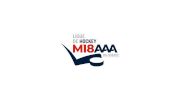 Ligue de Developpement du Hockey M18AAA du Quebec