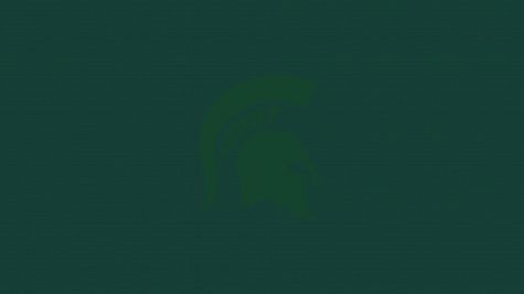 D1 Michigan State Women's Club Hockey