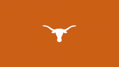 Texas Swimming & Diving