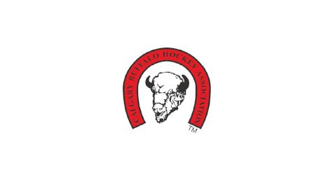 Calgary Bisons U15 AAA