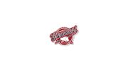 Edmonton Canadian Athletic Club (CAC) U15 AAA