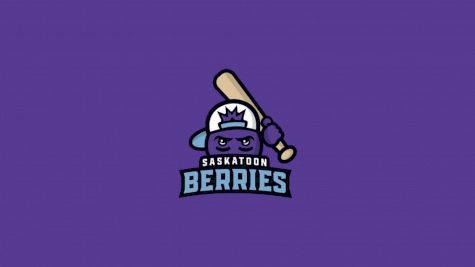 Saskatoon Berries