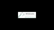Wildcats (Matterhorn)