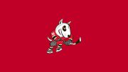 Niagara IceDogs