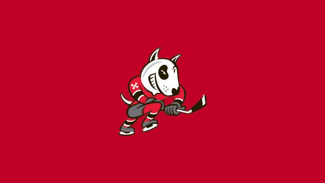 Niagara IceDogs