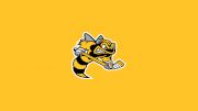 Sarnia Sting