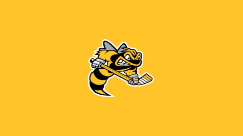 Sarnia Sting