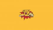 Moncton Wildcats