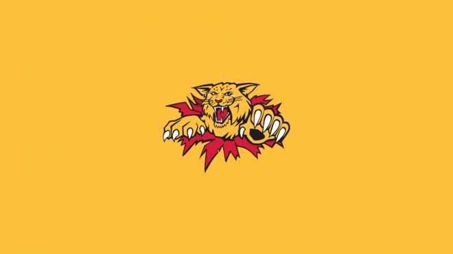 Moncton Wildcats