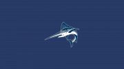 Virginia Wesleyan Swimming & Diving
