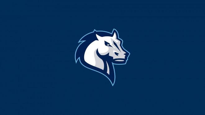 Mercy Men's Soccer