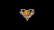 Victoriaville Tigres