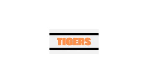 Tigers Futures