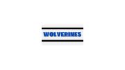 Wolverines Futures