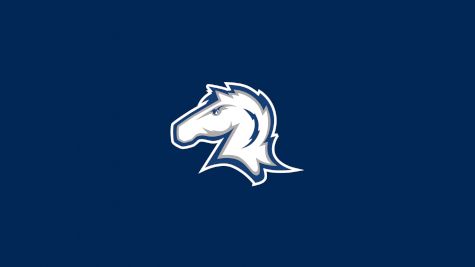 Hillsdale Swimming & Diving